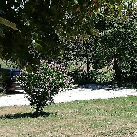 Chambre D'Hote Equestre Au Petit Bonheur Chateldon Dış mekan fotoğraf