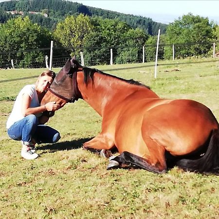 Chambre D'Hote Equestre Au Petit Bonheur Chateldon Dış mekan fotoğraf