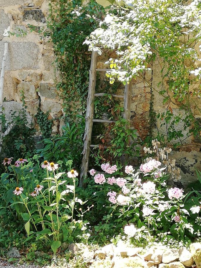 Chambre D'Hote Equestre Au Petit Bonheur Chateldon Dış mekan fotoğraf