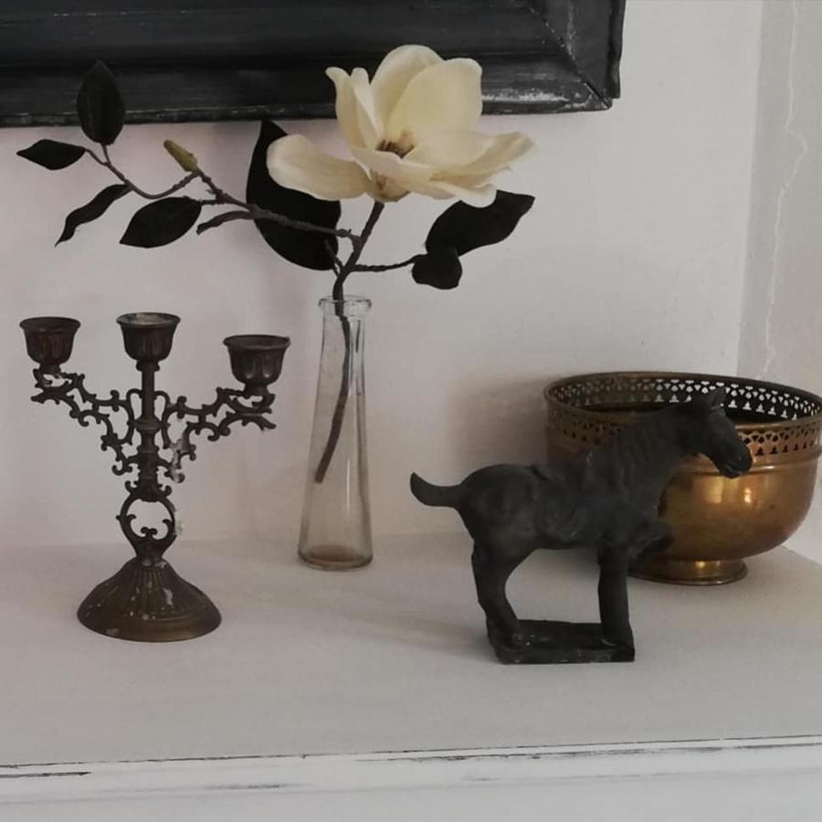 Chambre D'Hote Equestre Au Petit Bonheur Chateldon Dış mekan fotoğraf