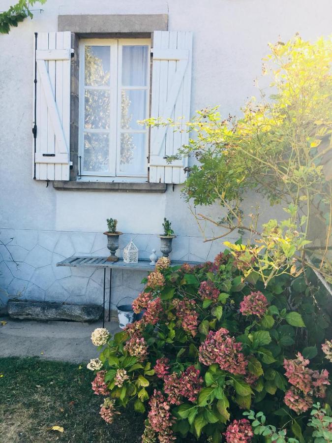 Chambre D'Hote Equestre Au Petit Bonheur Chateldon Dış mekan fotoğraf