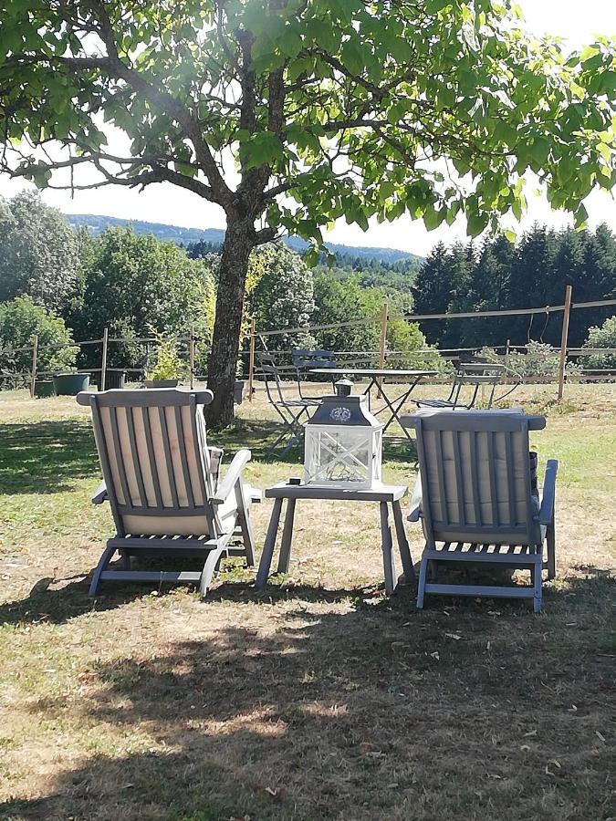 Chambre D'Hote Equestre Au Petit Bonheur Chateldon Dış mekan fotoğraf